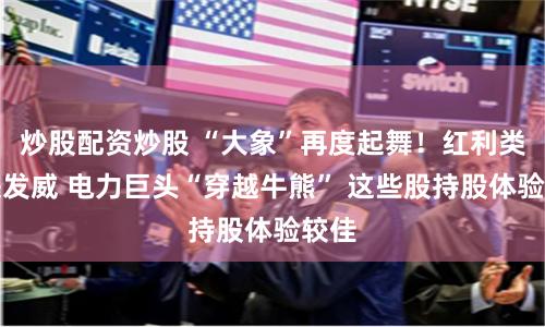 炒股配资炒股 “大象”再度起舞！红利类板块发威 电力巨头“穿越牛熊” 这些股持股体验较佳